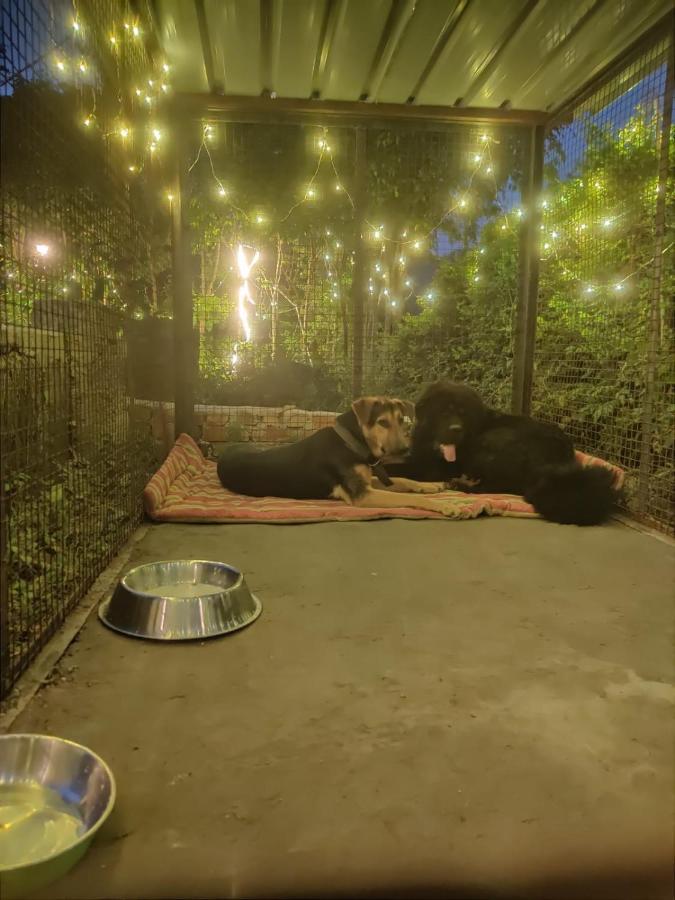 H7Stay Luxury Cottages And Camps, Rishikesh Exterior photo